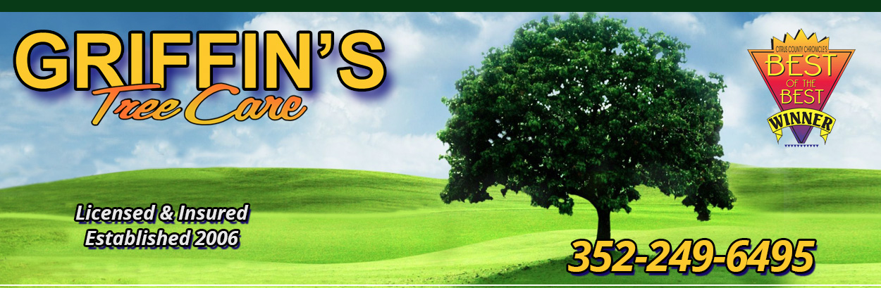 Griffin's Tree Care